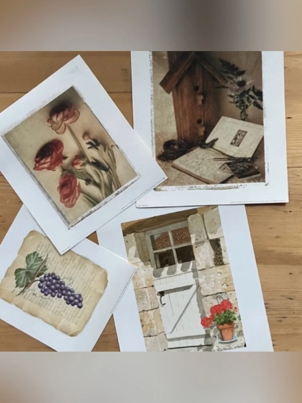 Wild Apple Graphics Artwork Prints